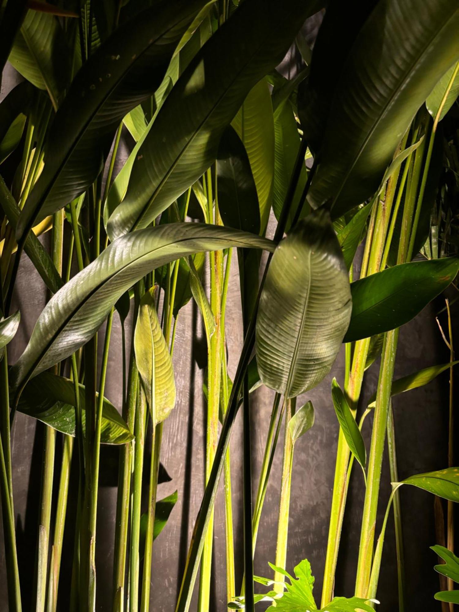 Rumah Kita Ecolodge Ubud  Luaran gambar