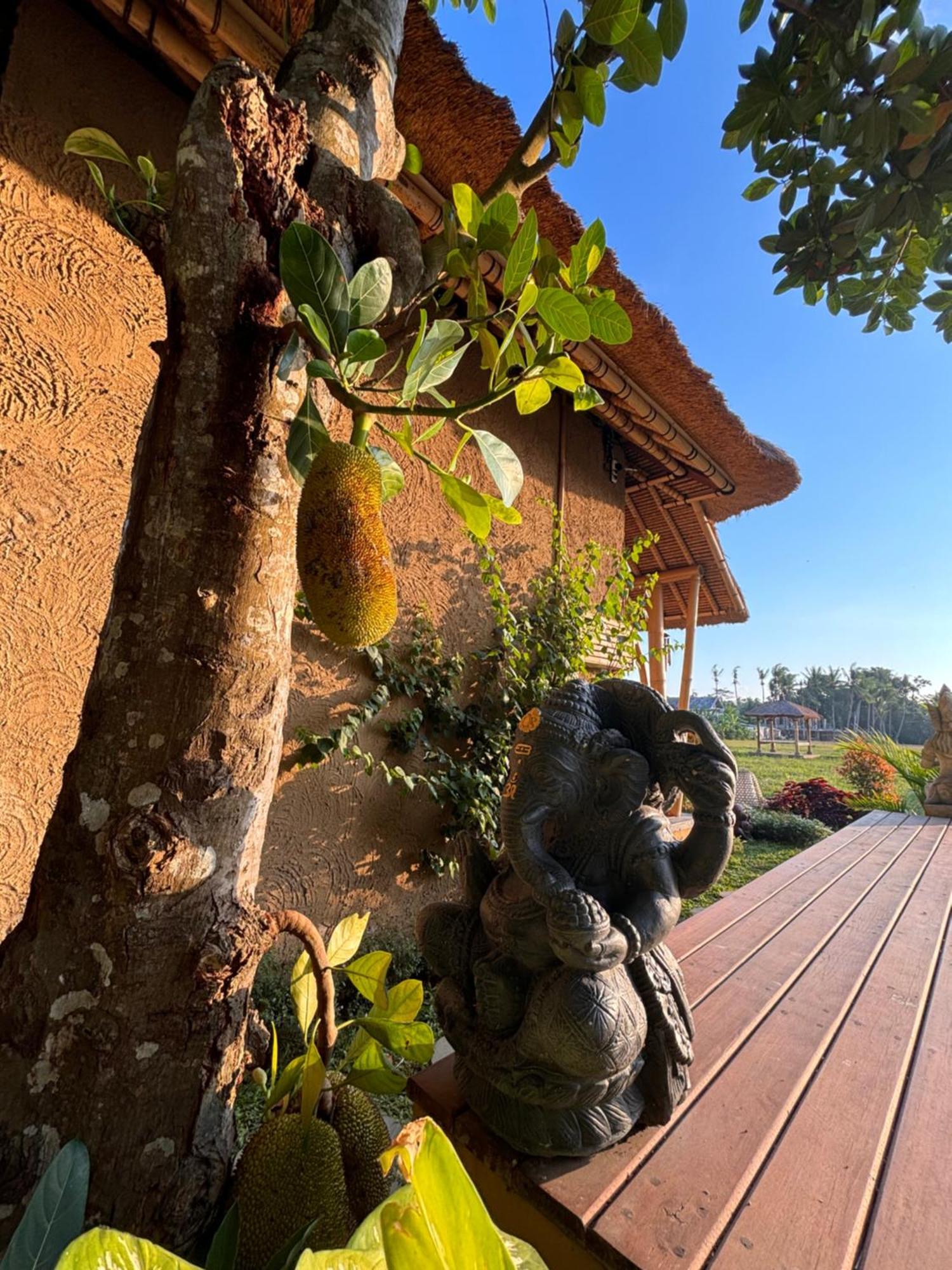 Rumah Kita Ecolodge Ubud  Luaran gambar