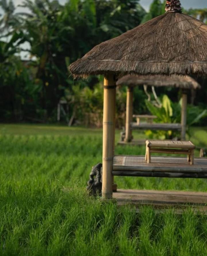 Rumah Kita Ecolodge Ubud  Luaran gambar